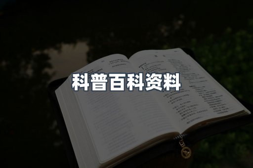 外文电子书系列